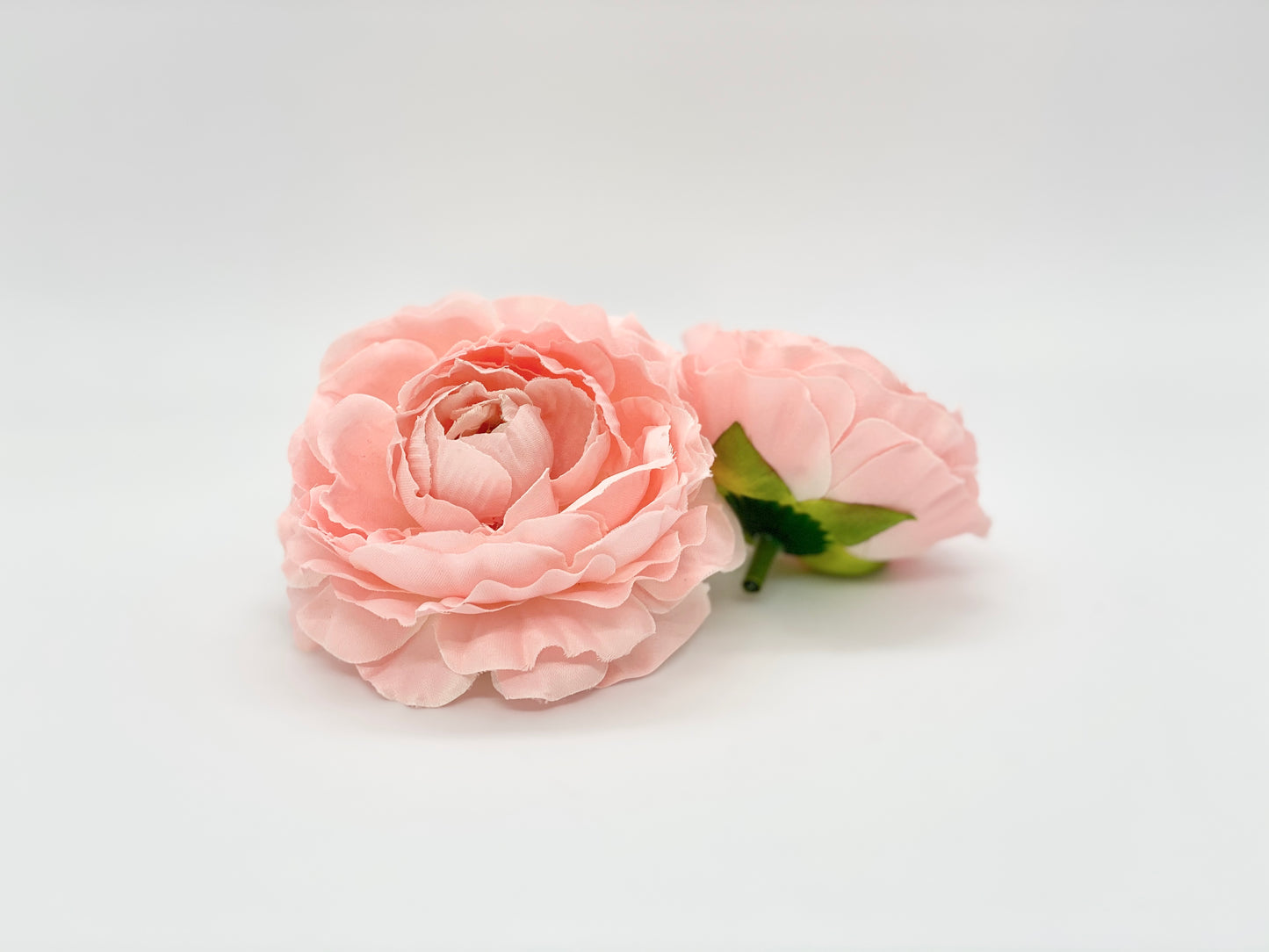Peachy Pink Ranunculus