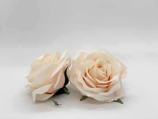 3.5" Light Peach Rose