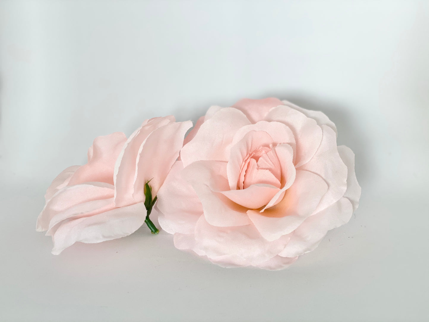 5" Large Ballet Pink Rose