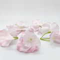 Light blush pink hydrangea flowers set of 5 clusters for wedding flower crowns