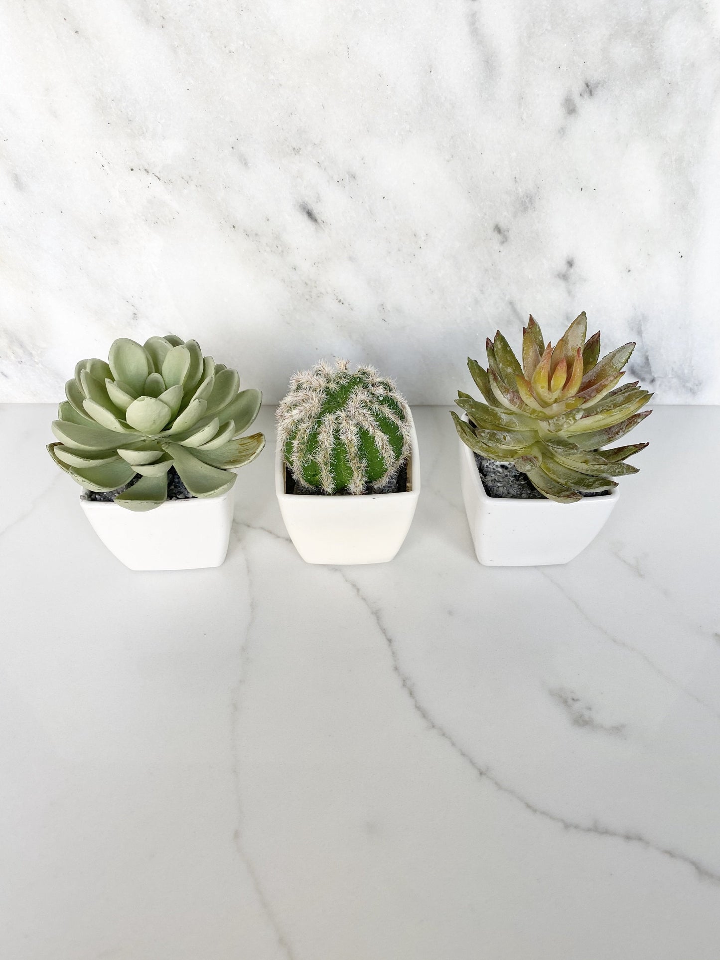Faux succulent wedding favor boho desert theme gift