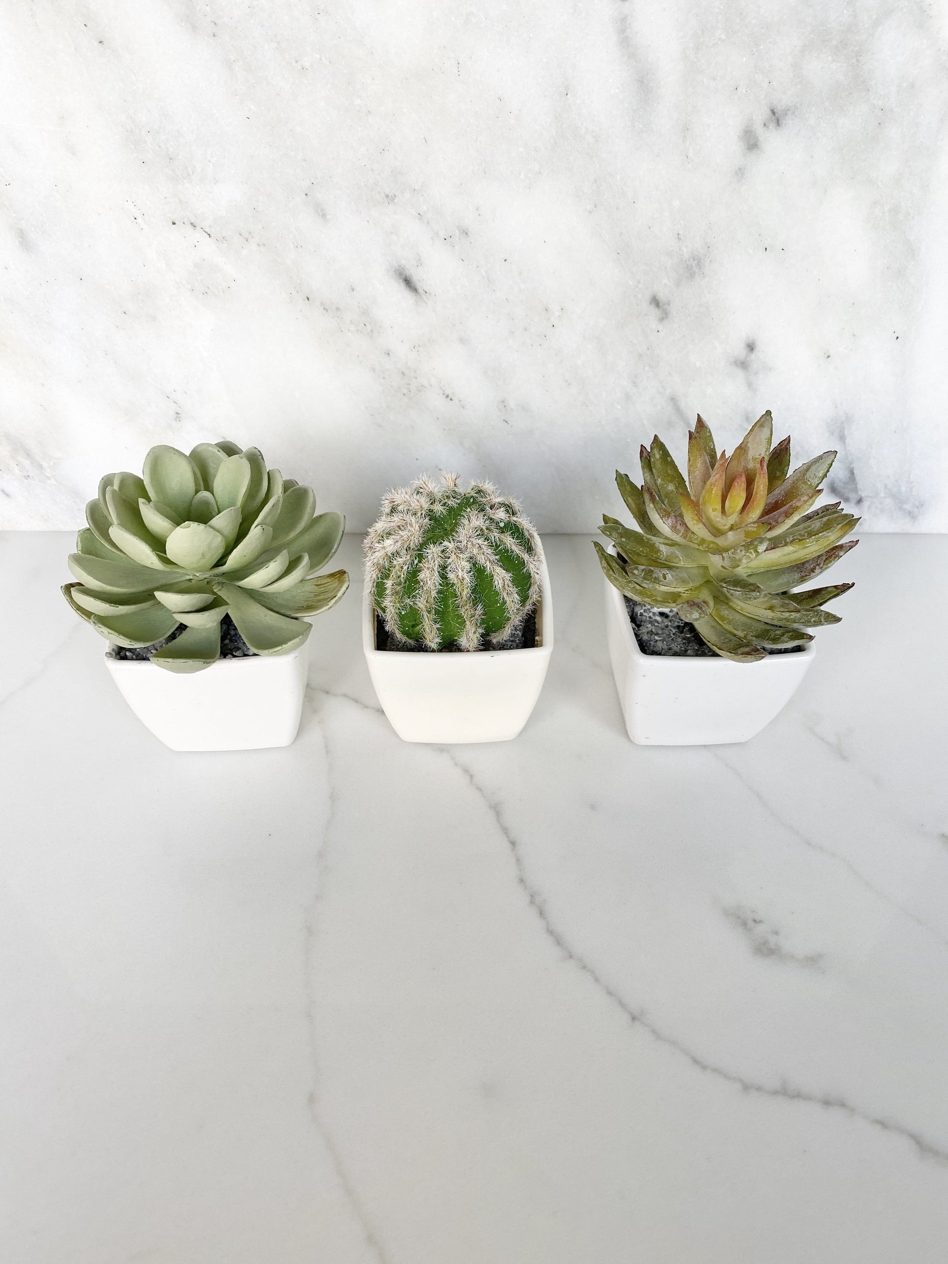 Faux succulent favor with realistic greenery in potted container