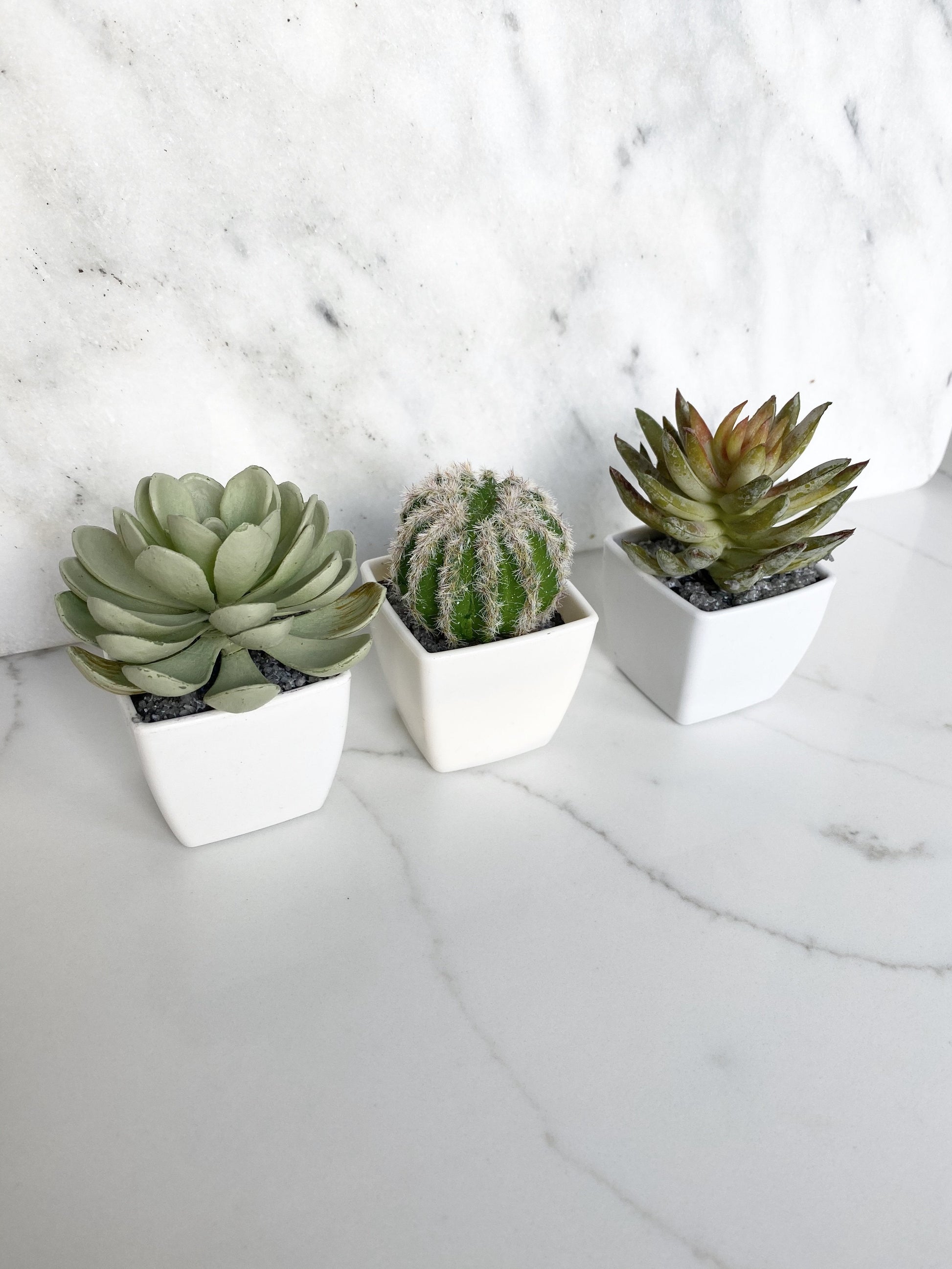Cactus party favor artificial green potted table decor