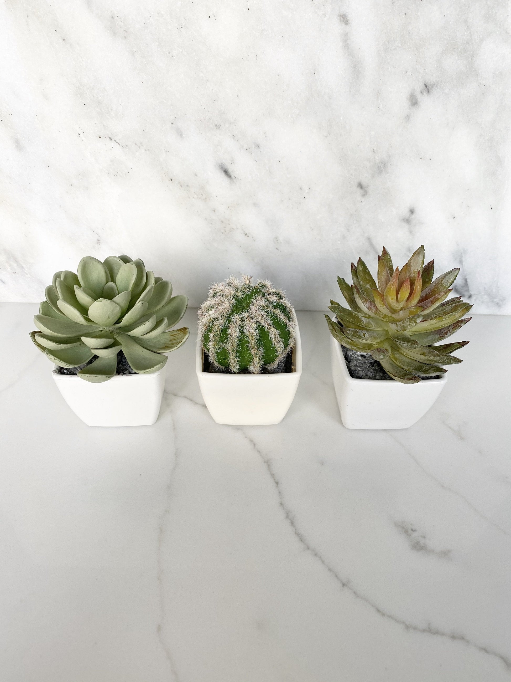 Set of three faux plant party favors for wedding or shower