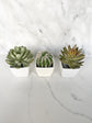 Set of three faux plant party favors for wedding or shower