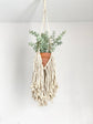 Decorative macrame plant hanger for boho home