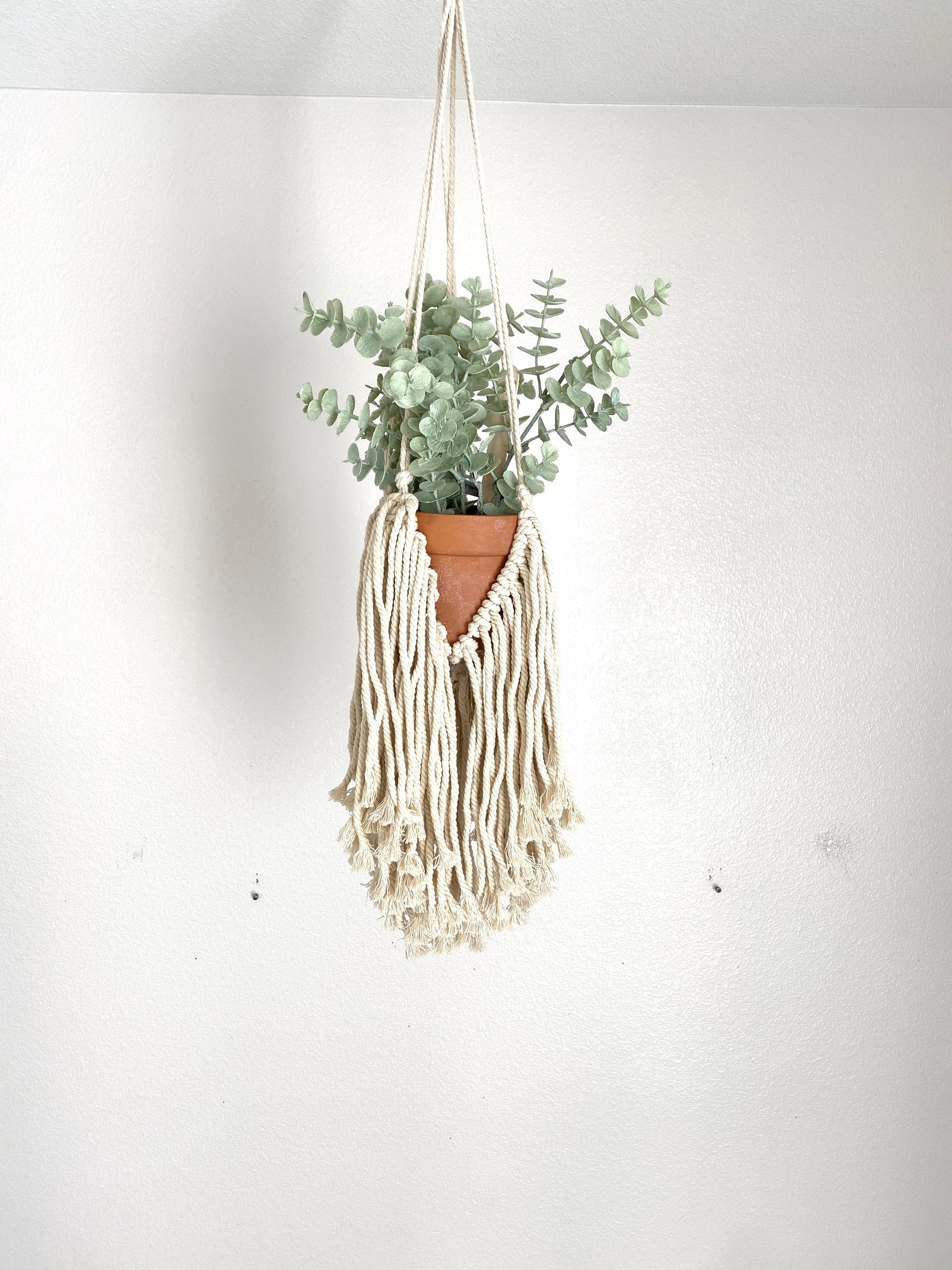Office macrame hanger plant display