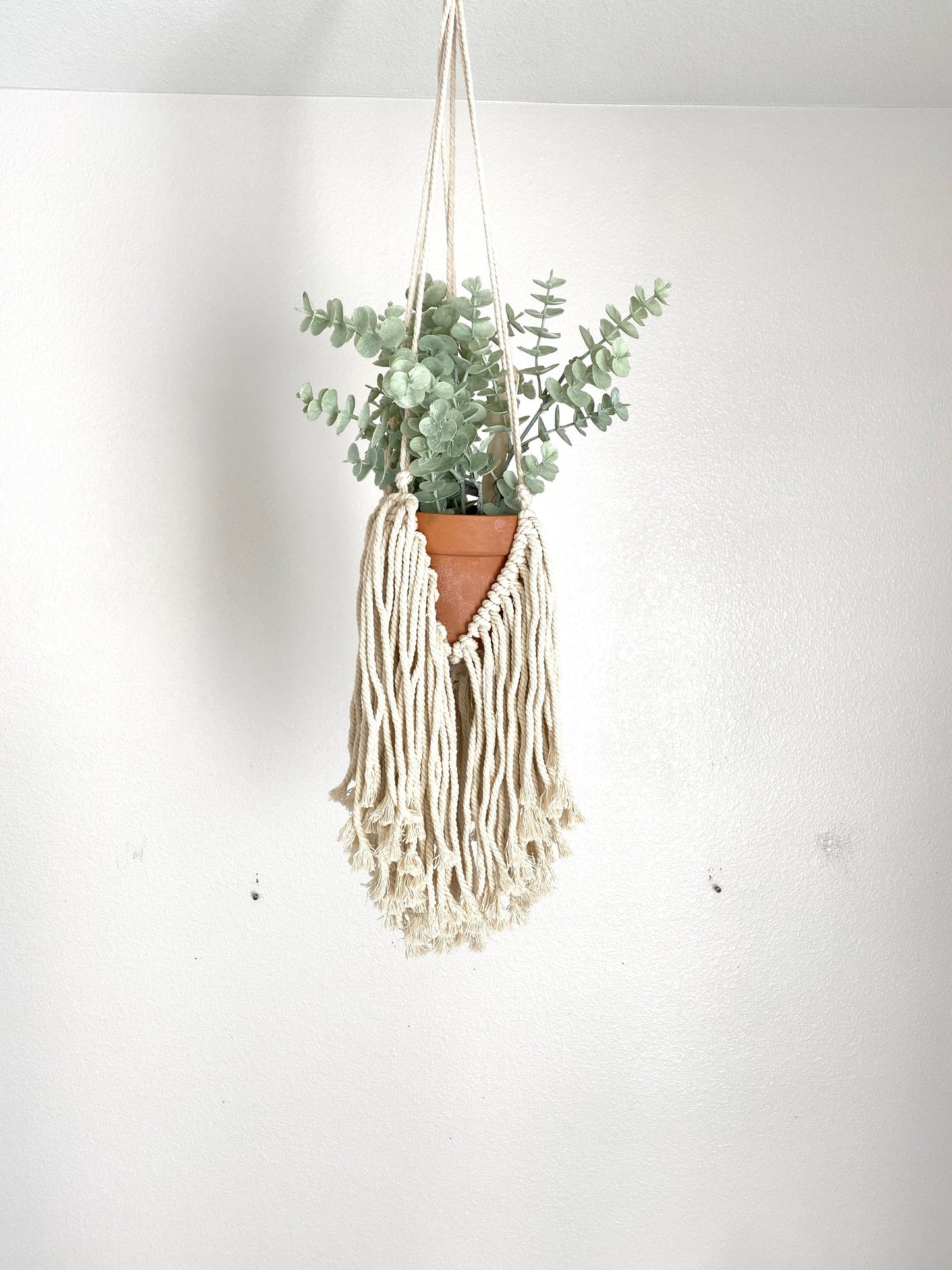 Office macrame hanger plant display