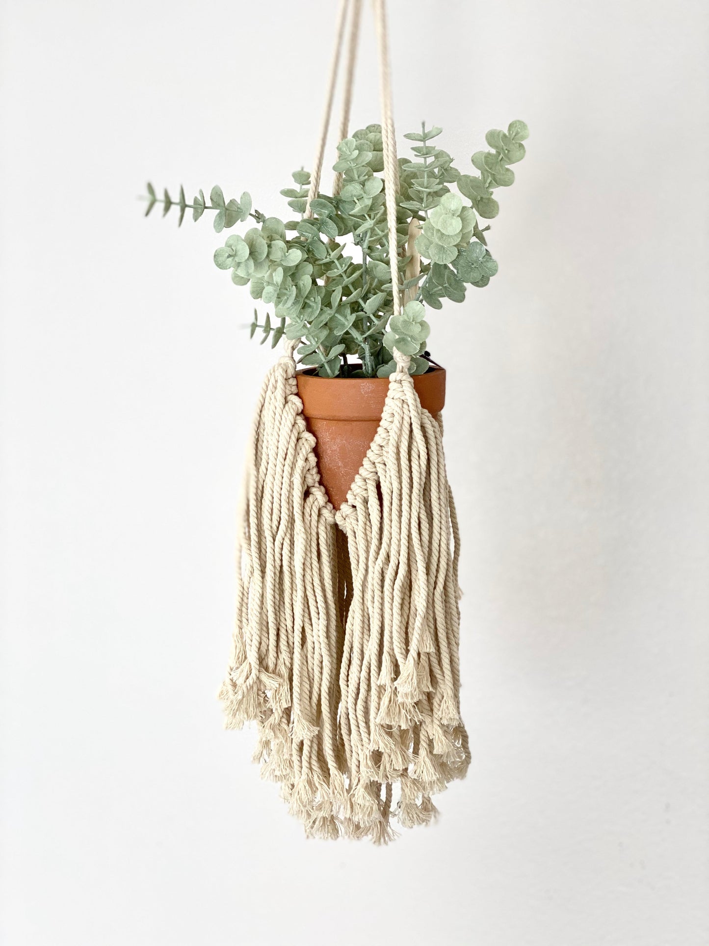 Boho macrame plant hanger home decoration