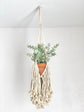 Minimalist macrame plant holder accessory