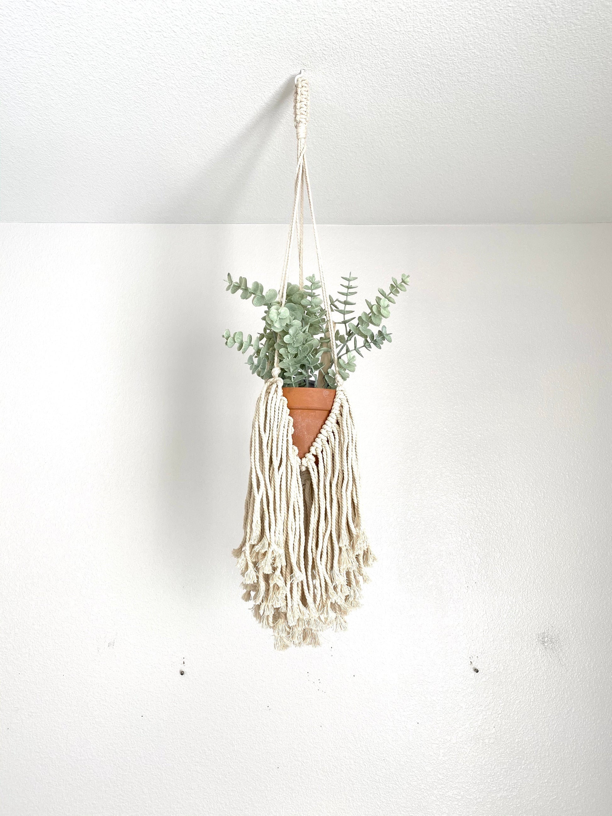 Macrame hanger arrangement with plants