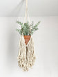 Macrame hanger with tassel for plant display