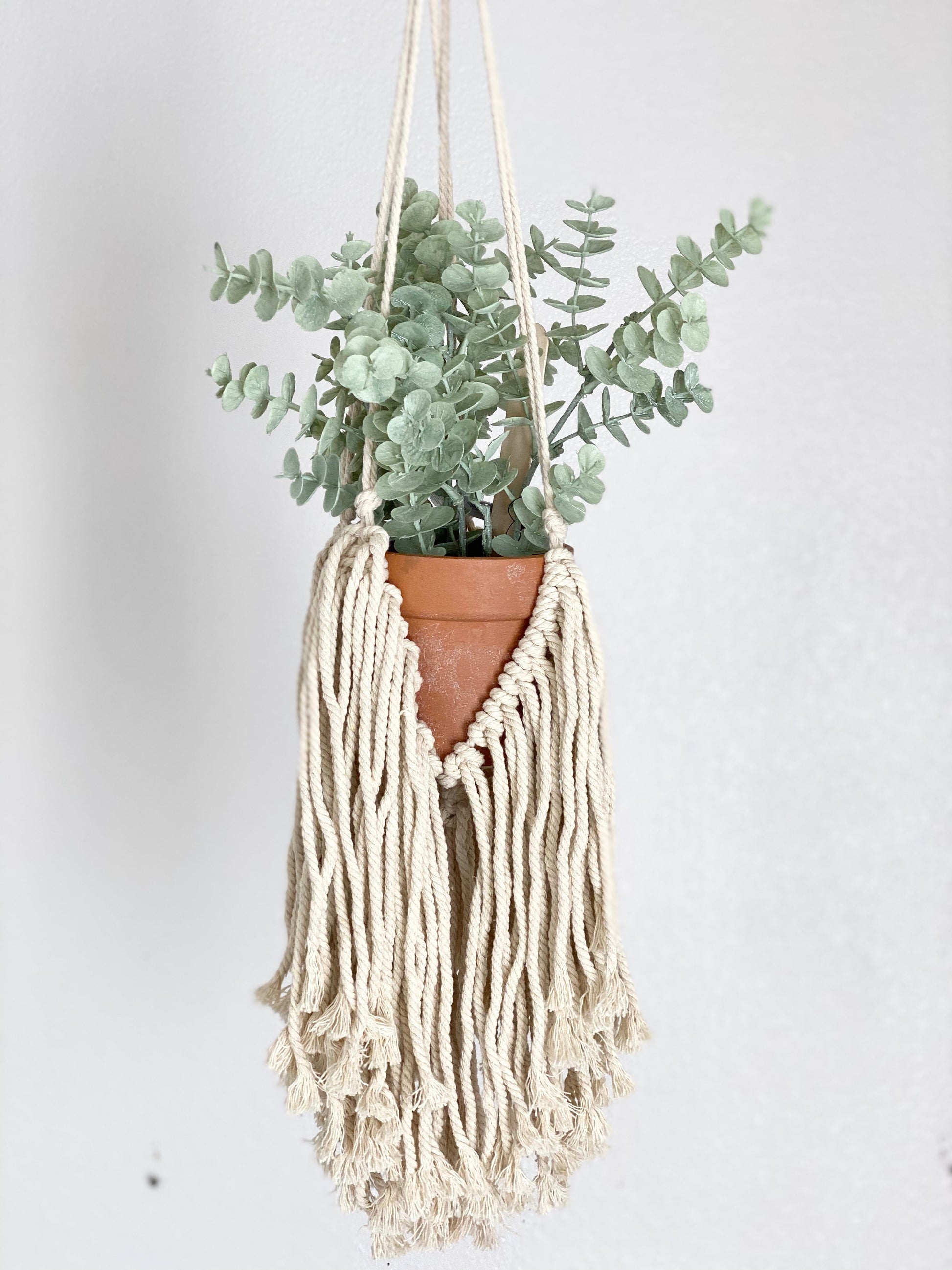 Fringed macrame plant hanger wall decor