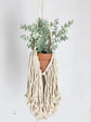 Macrame planter hanger front view display