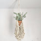 Hanging macrame planter with natural fibers and tassel