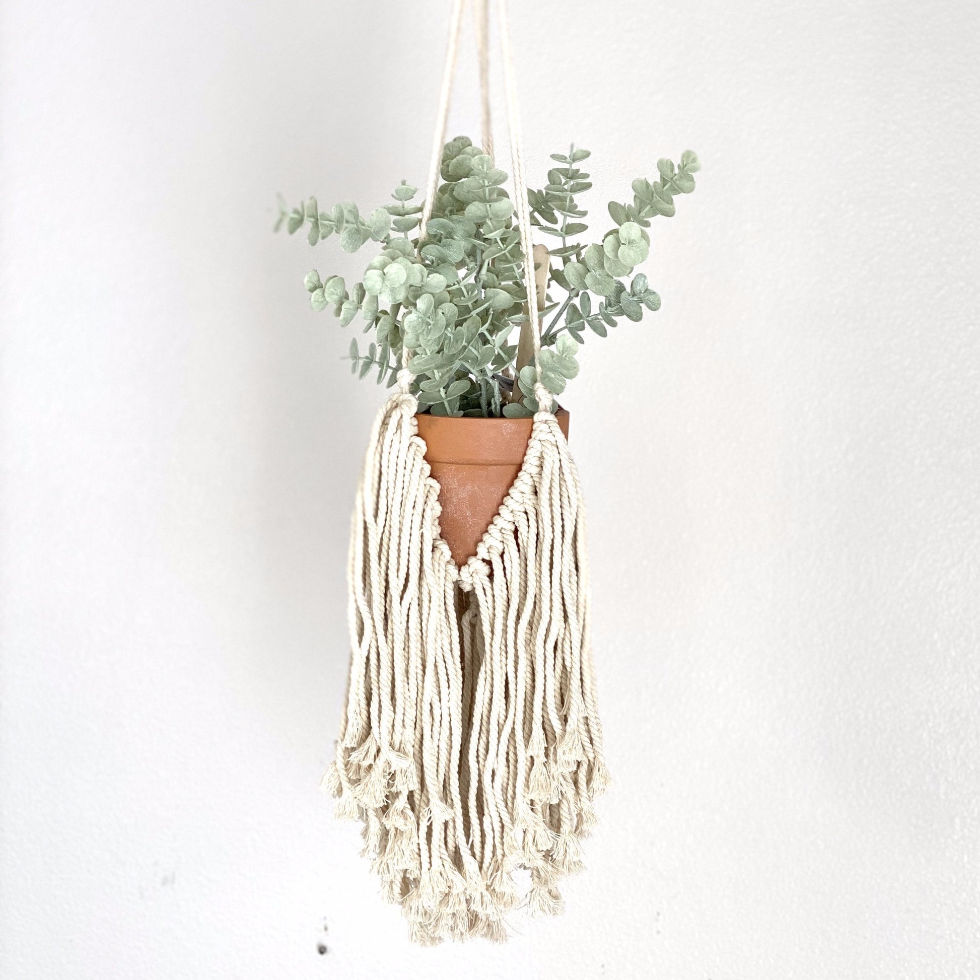Macrame plant hanger with fringe and removable planter