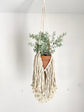 Macrame plant hanger with hanging loops
