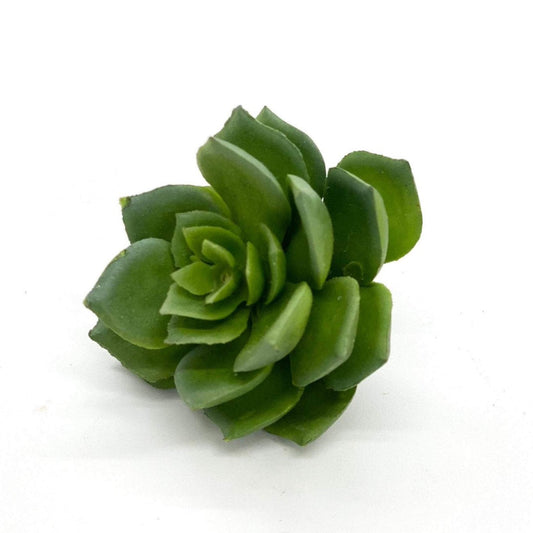 2 inch artificial green echeveria succulent for wedding bouquet and planter decor
