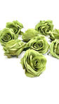 3.5" Apple Green Rose