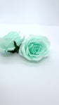 3" Aqua Mint Rose