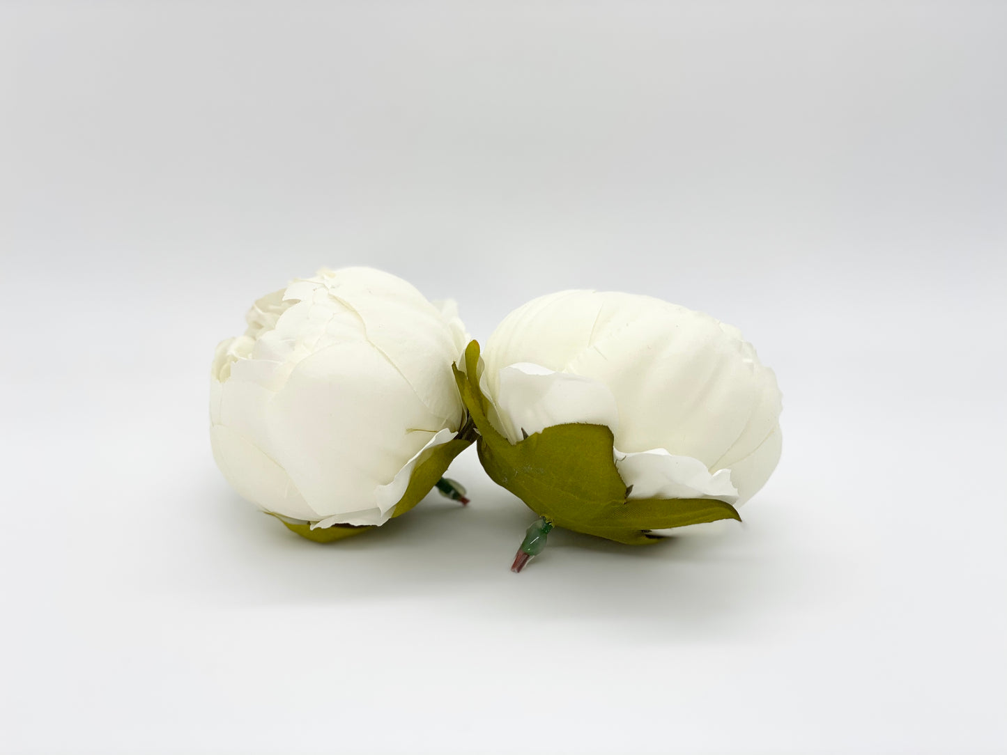 4" Cream Double Peony