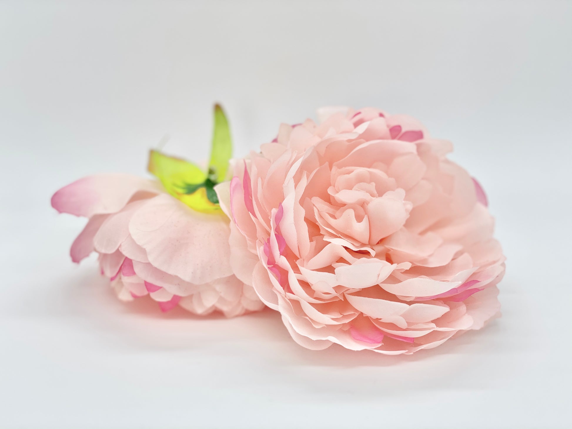 Full layered light pink peony flower head for floral arrangements