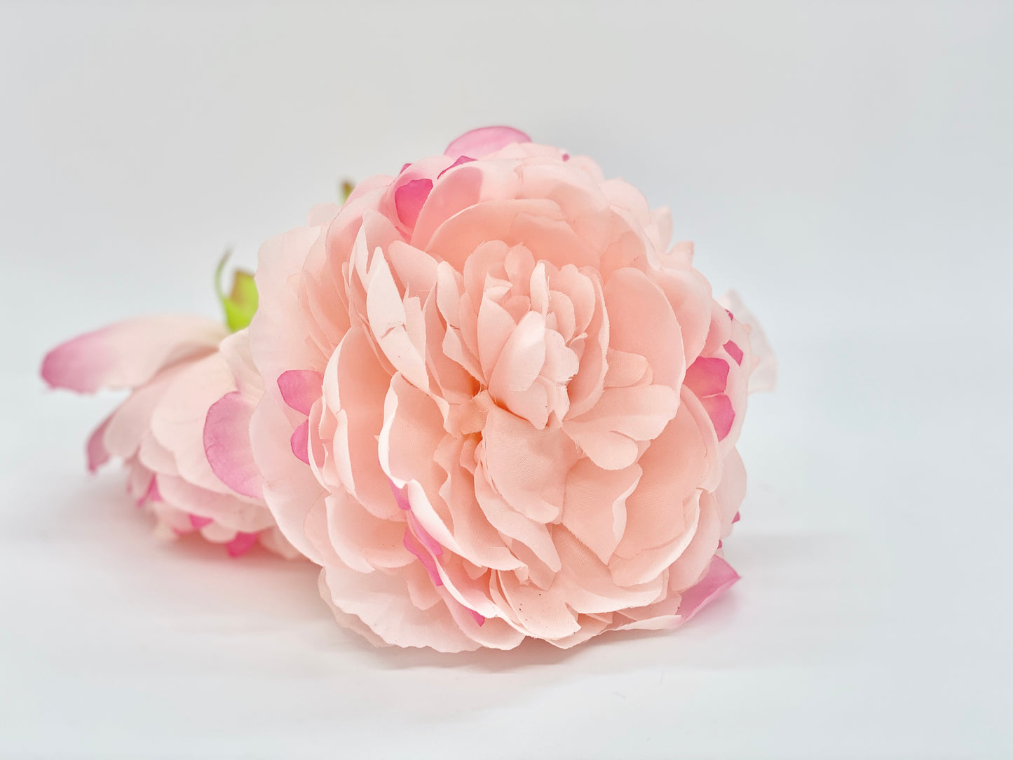 5" Large Light Pink Peony