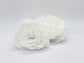 Large White Peony