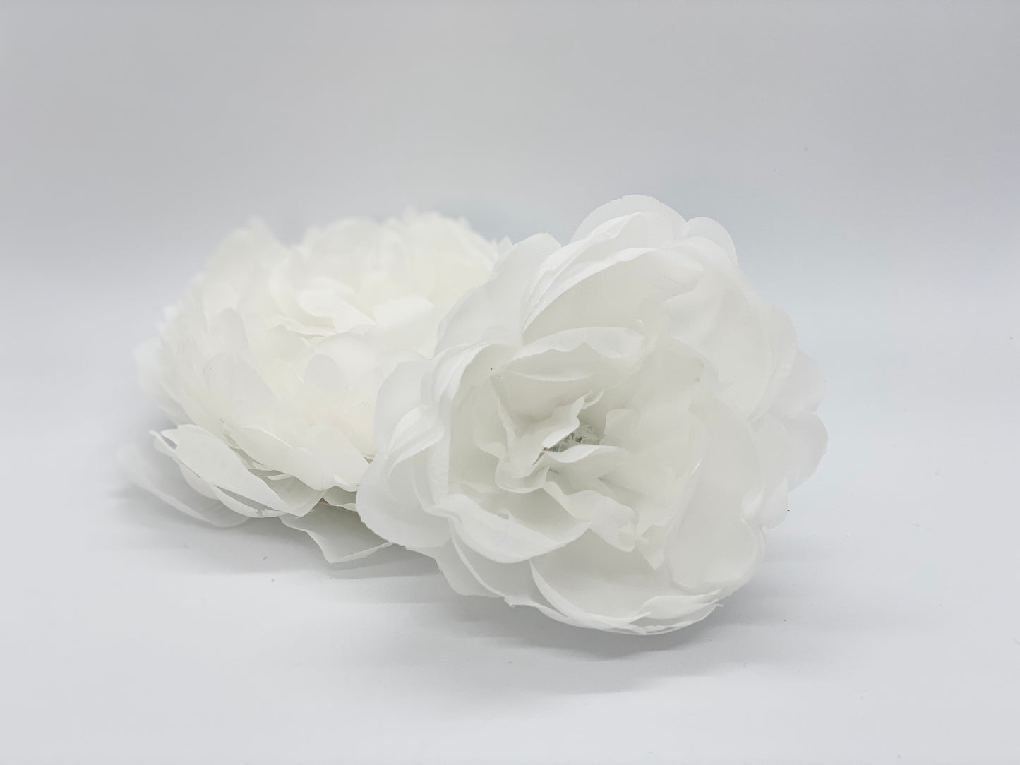 Large White Peony