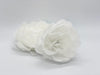 Large White Peony