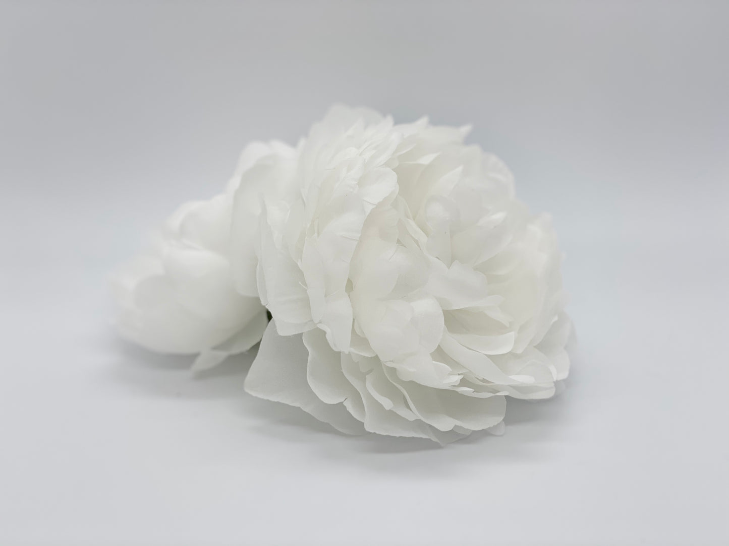Large White Peony