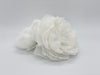 Large White Peony