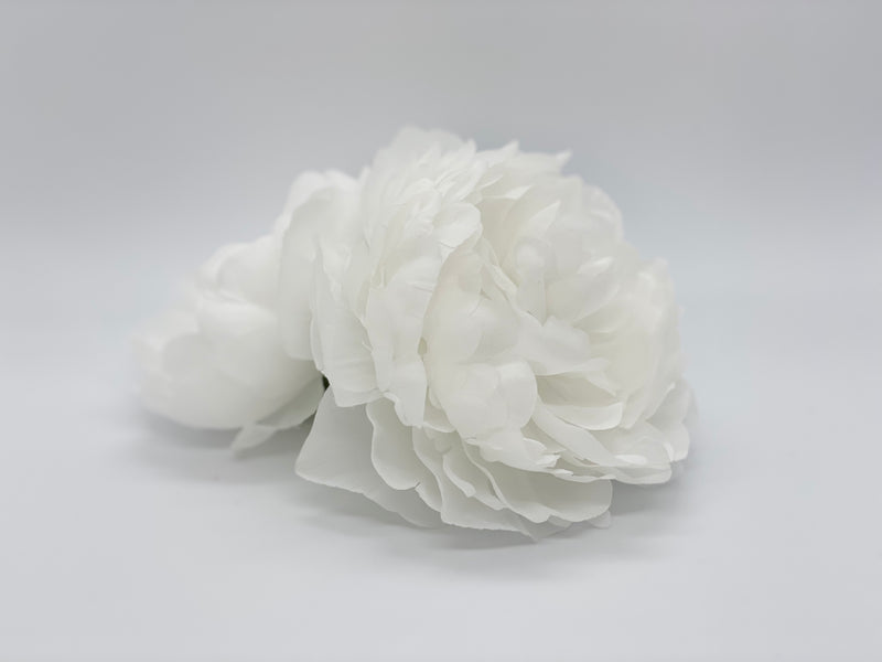 Large White Peony