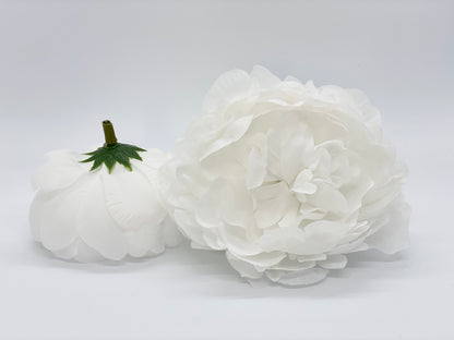 Large White Peony