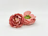 Mauve Ranunculus
