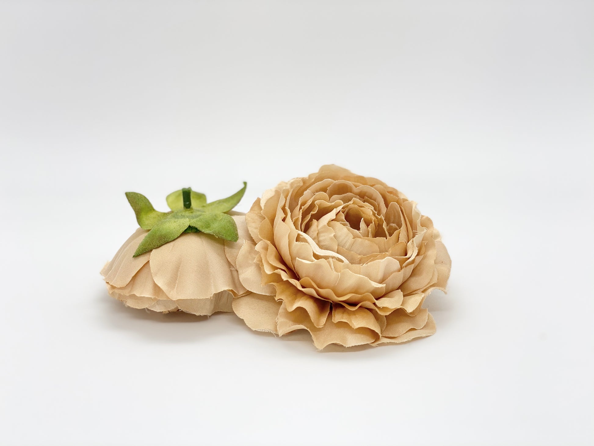 Beige tan ranunculus sizes for neutral wedding arrangement