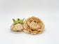 Beige tan ranunculus sizes for neutral wedding arrangement