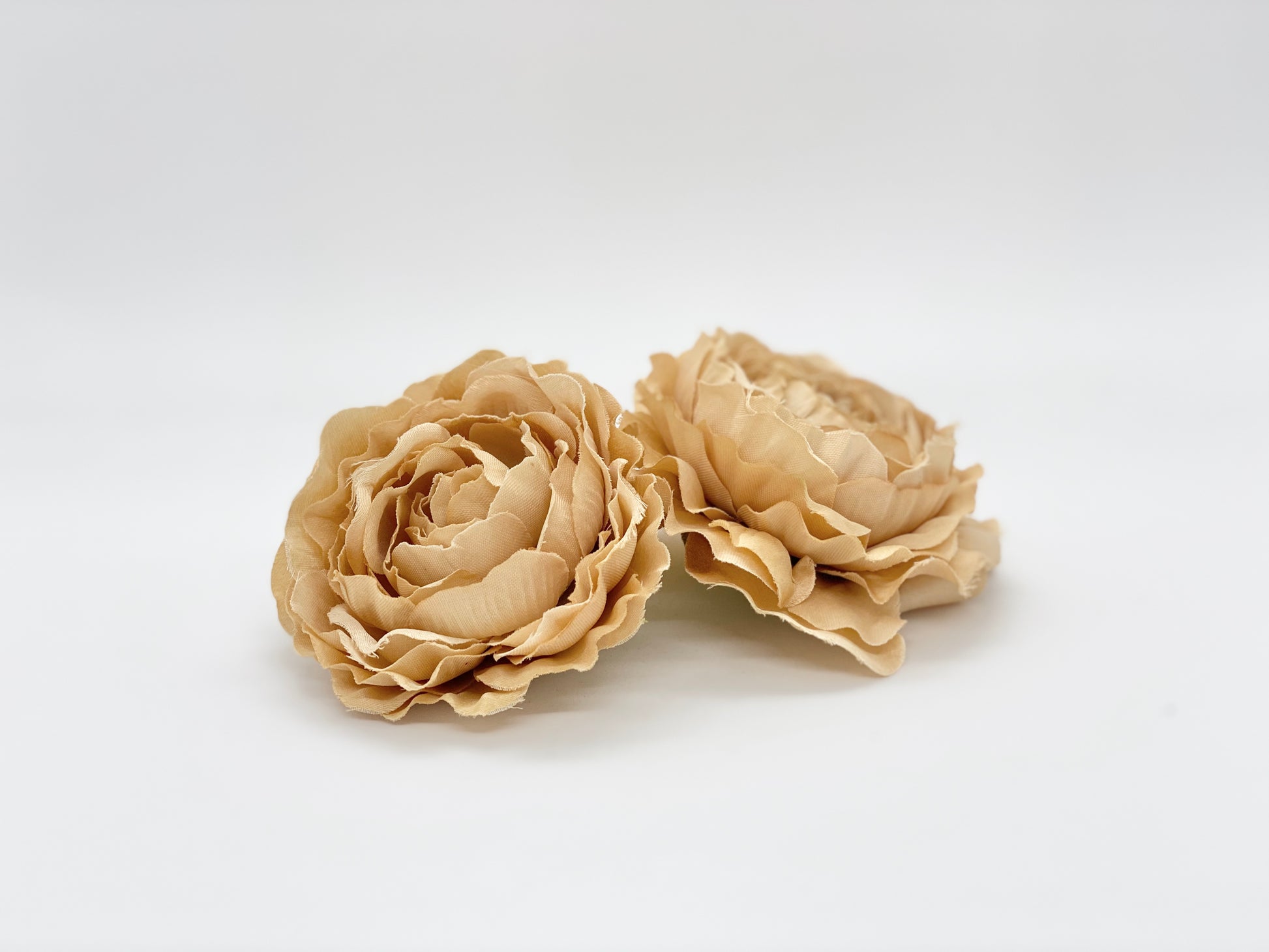 Golden beige ranunculus side view for boho wedding crafting