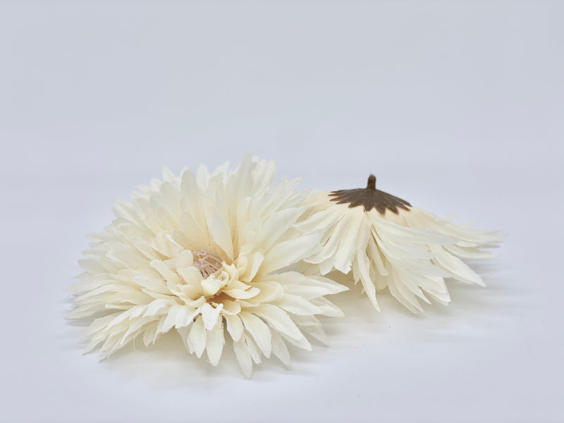 5" Beige Spider Mum