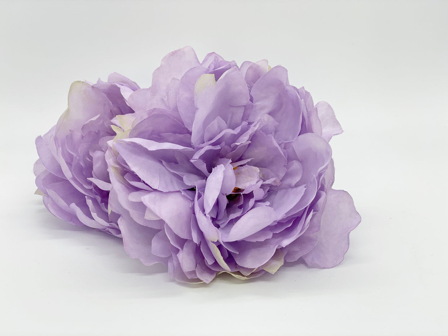 Large Lavender Peony