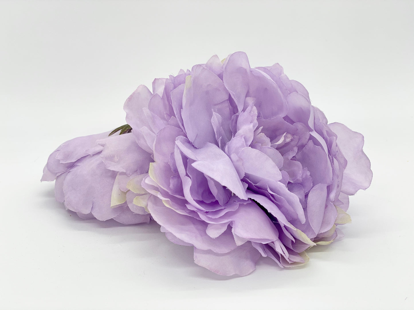 Large Lavender Peony