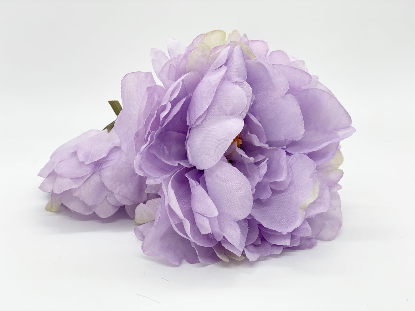 Large Lavender Peony