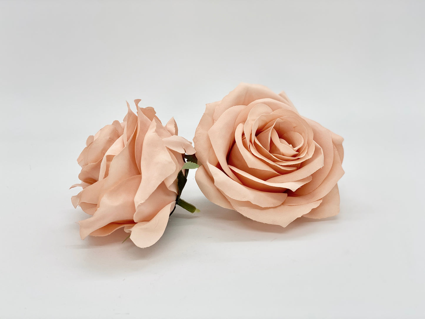 3.5" Peachy Mauve Rose