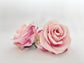 Fuchsia to pale pink artificial rose top view for party decor