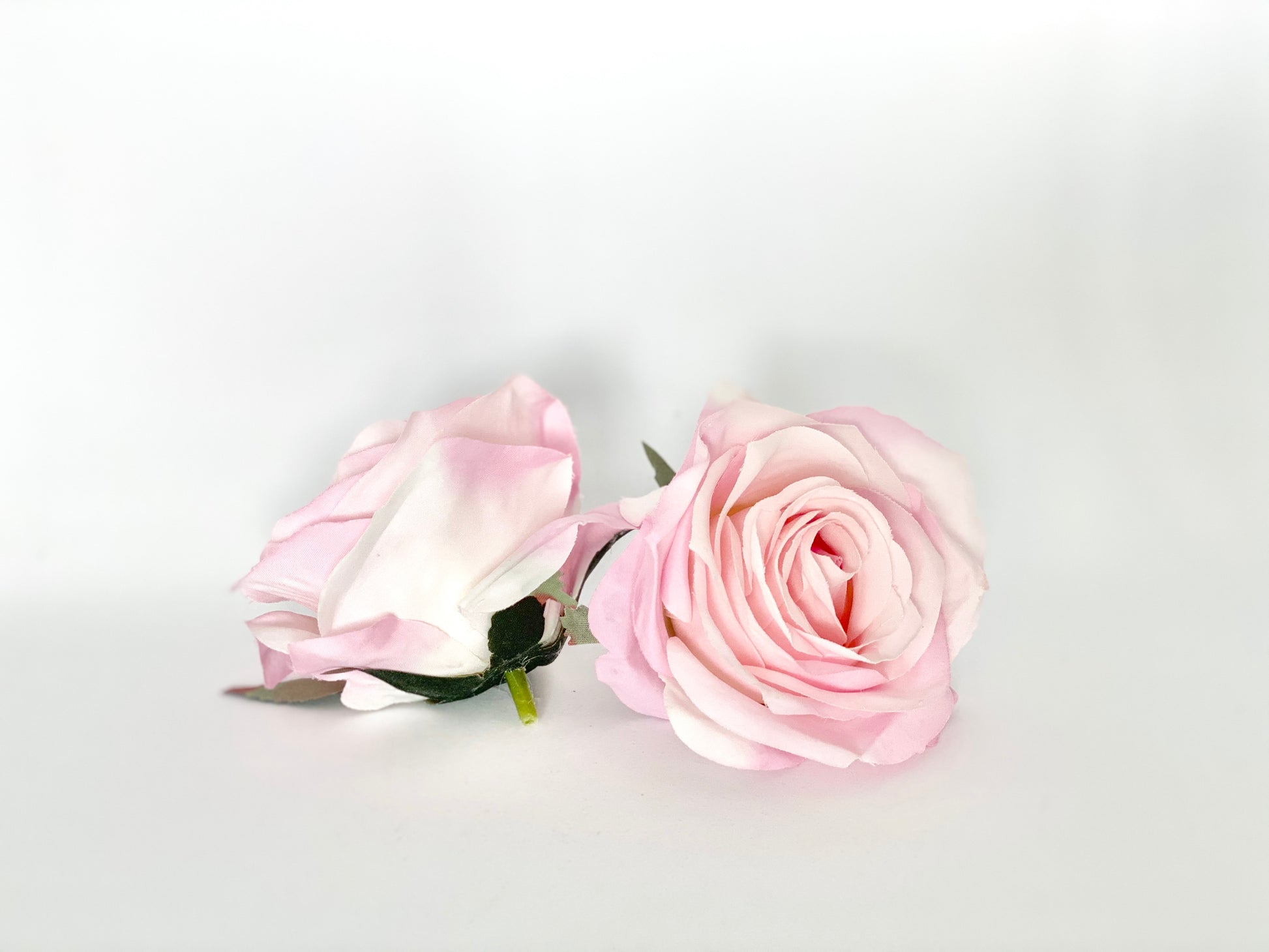 True light pink silk rose close up for wedding floral design