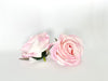 3.5" Two-Tone Light Pink Rose