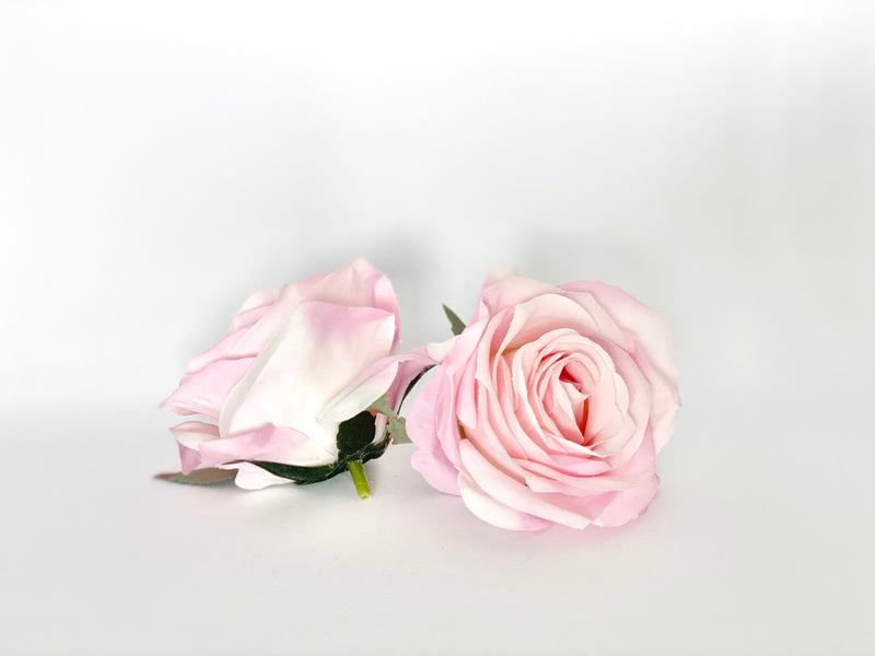 3.5" Two-Tone Light Pink Rose