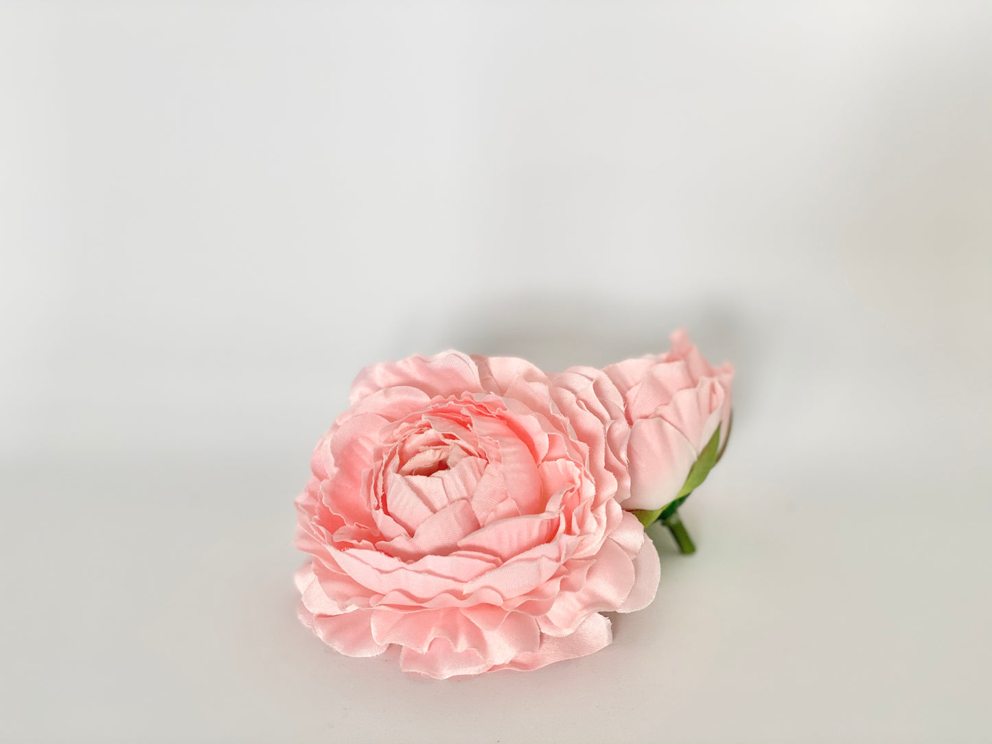 Peachy Pink Ranunculus