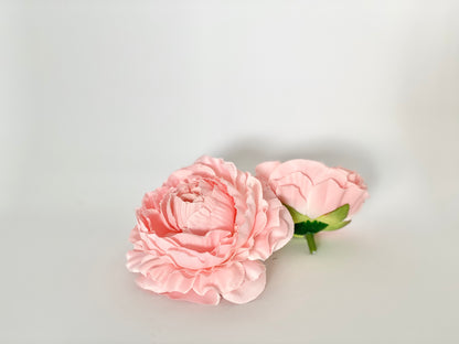 Peachy Pink Ranunculus