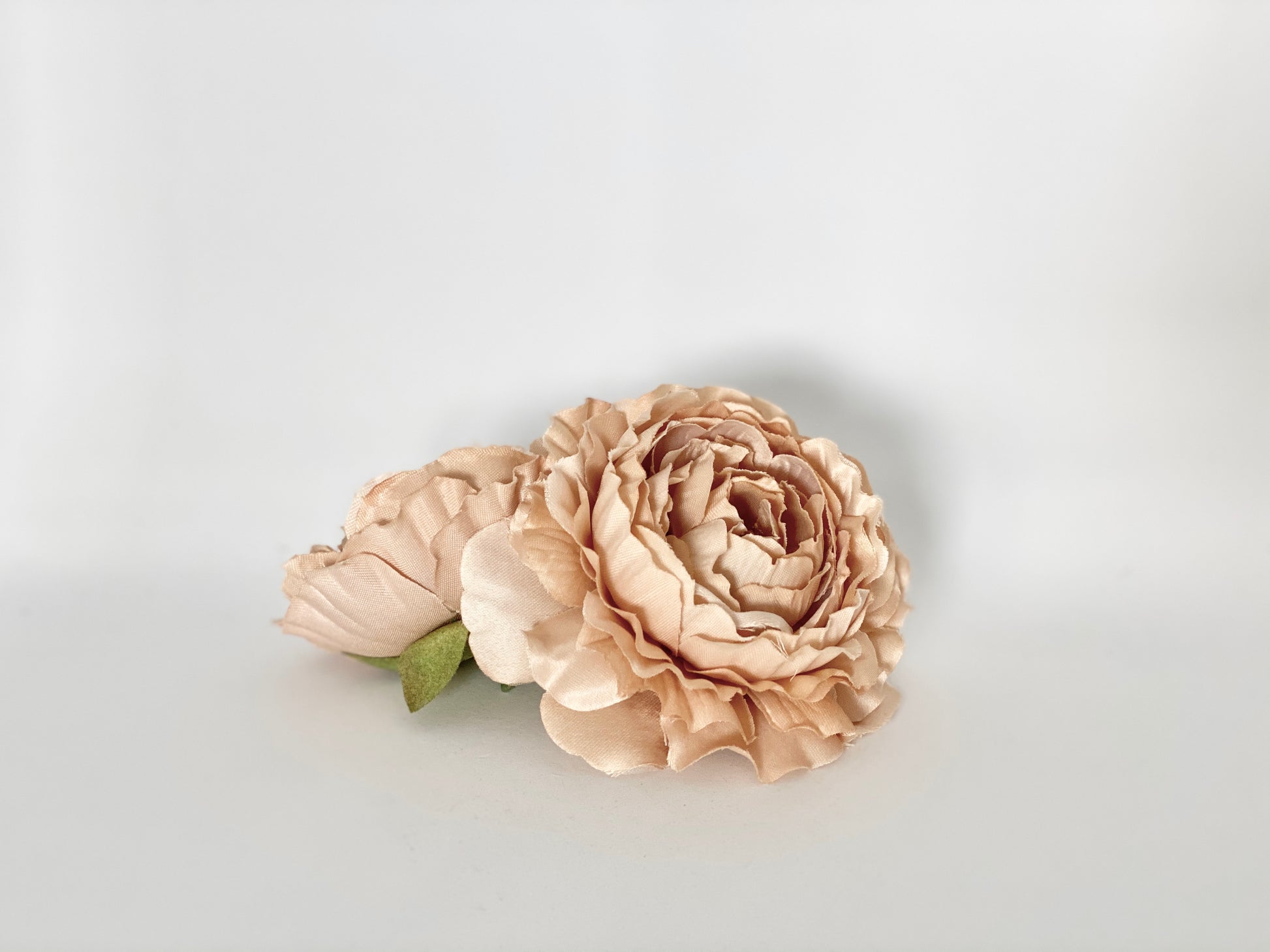 Nude beige ranunculus flower head for boho floral arrangements